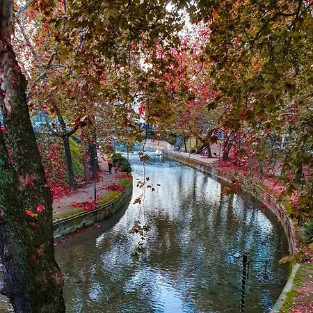 Daire Olina's Luxury *